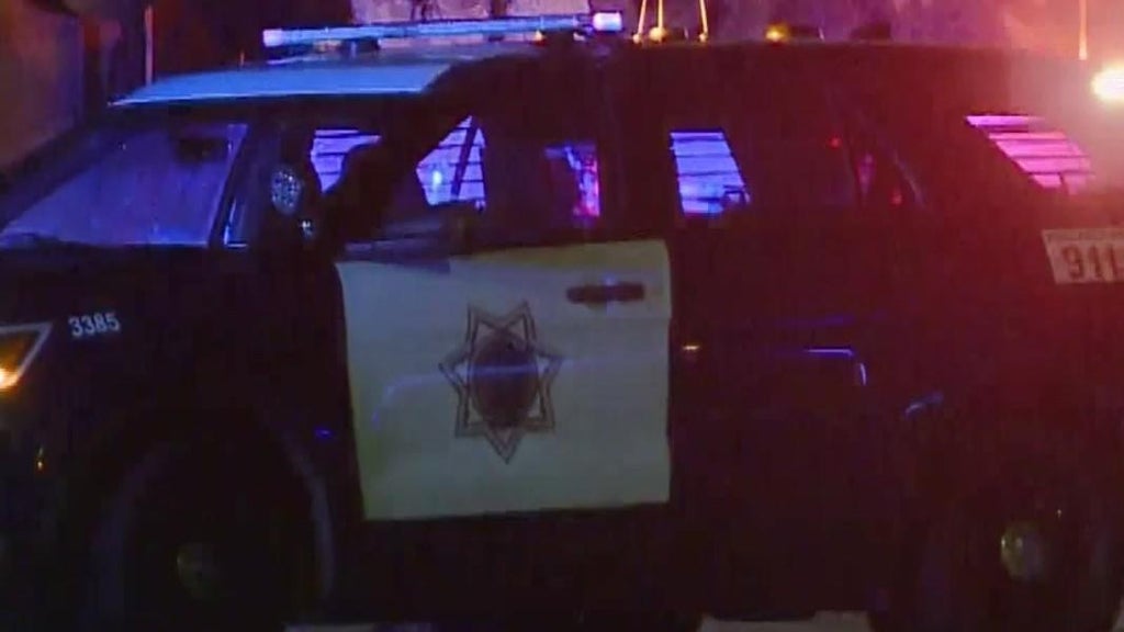 San Jose teens involved in traffic stop that preceded police shooting, attempted carjacking — CBS Bay Area (KPIX), Fridley Schools news
