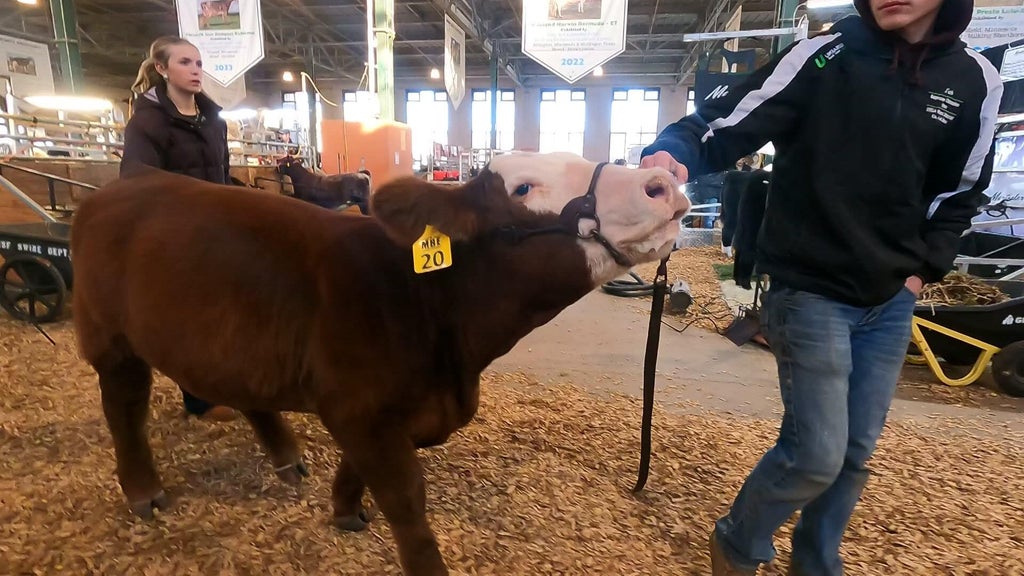 Spotlight on beef as Minnesota midterms near — WCCO / CBS Minnesota, Fridley Community news