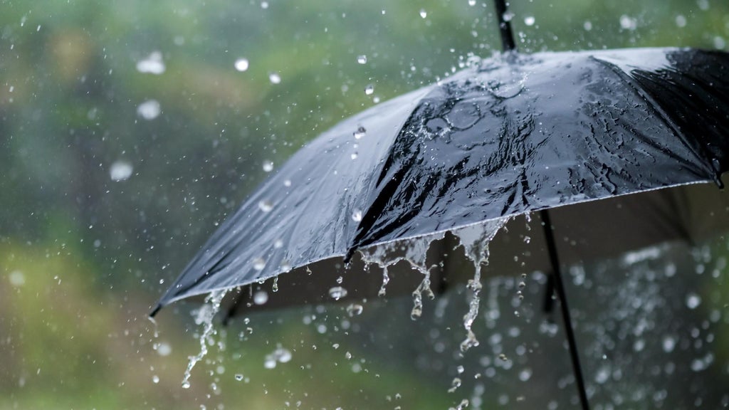 Widespread rain in Minnesota Monday; milder air returns Tuesday — WCCO / CBS Minnesota, Fridley Community news