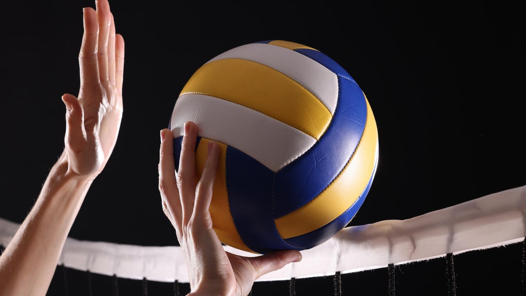 SeatGeek's first volleyball partner is the Minnesota Forge in a multiyear deal — WCCO / CBS Minnesota, Fridley Business news