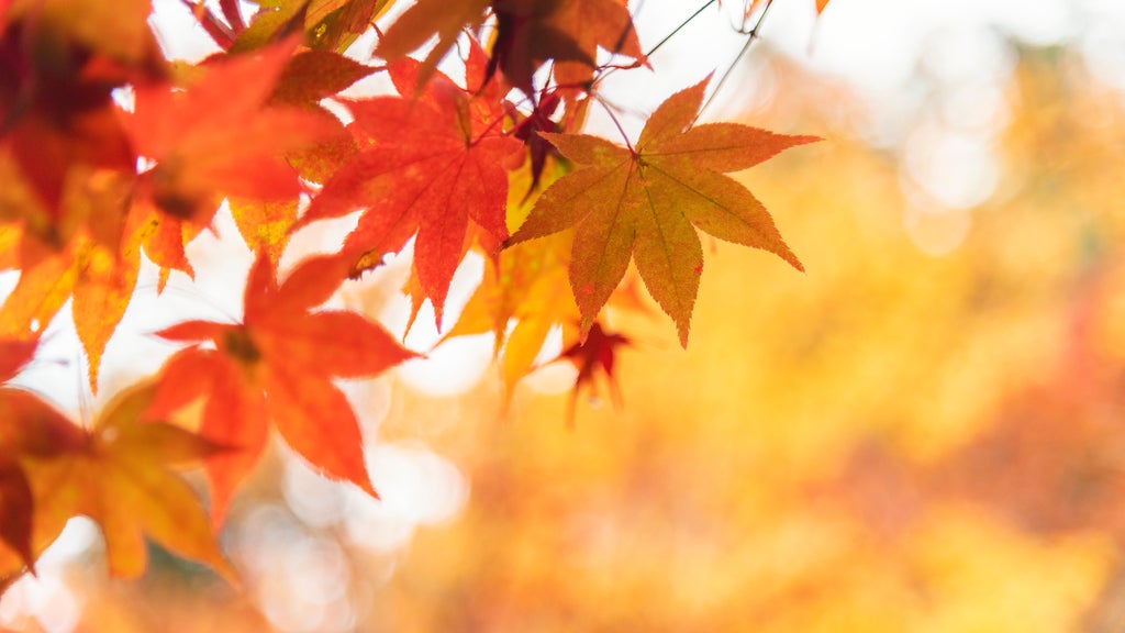 More sunny, mild late October weather in Minnesota Tuesday — WCCO / CBS Minnesota, Fridley Business news