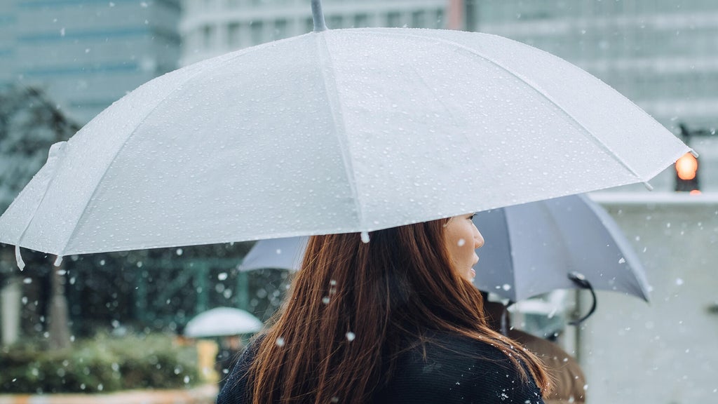 Soggy, chilly Thursday in the Twin Cities; season's first frost possible Saturday — WCCO / CBS Minnesota, Fridley Sports news