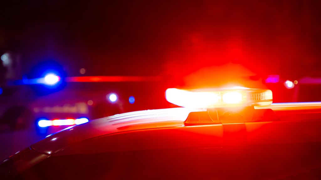 Driver killed in head-on collision with semi in central Minnesota — Fridley Community news