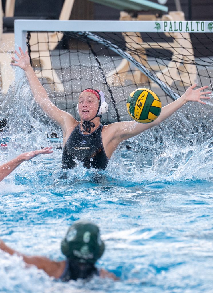 Wilcox Water Polo Caught in Vikings Rip Current — Silicon Valley Voice, Fridley Sports news
