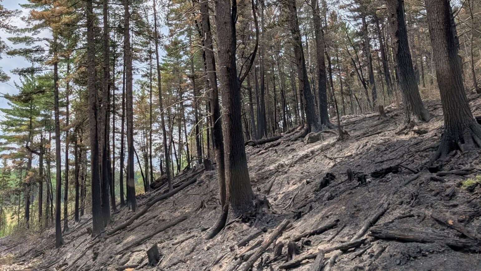 74-year-old who became separated from his family on a trail in Ely was discovered dead — KSTP 5, Fridley Community news