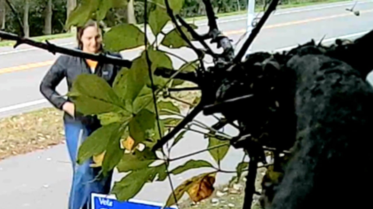 Video: Vadnais Heights council member removes mayoral candidate’s campaign sign, tosses it aside — KSTP 5
