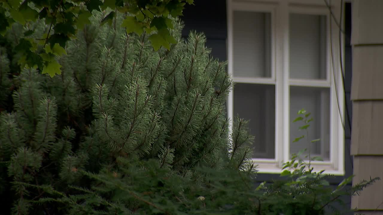 'Extreme risk' serial peeping tom posts $300K bond, out of jail again — FOX 9