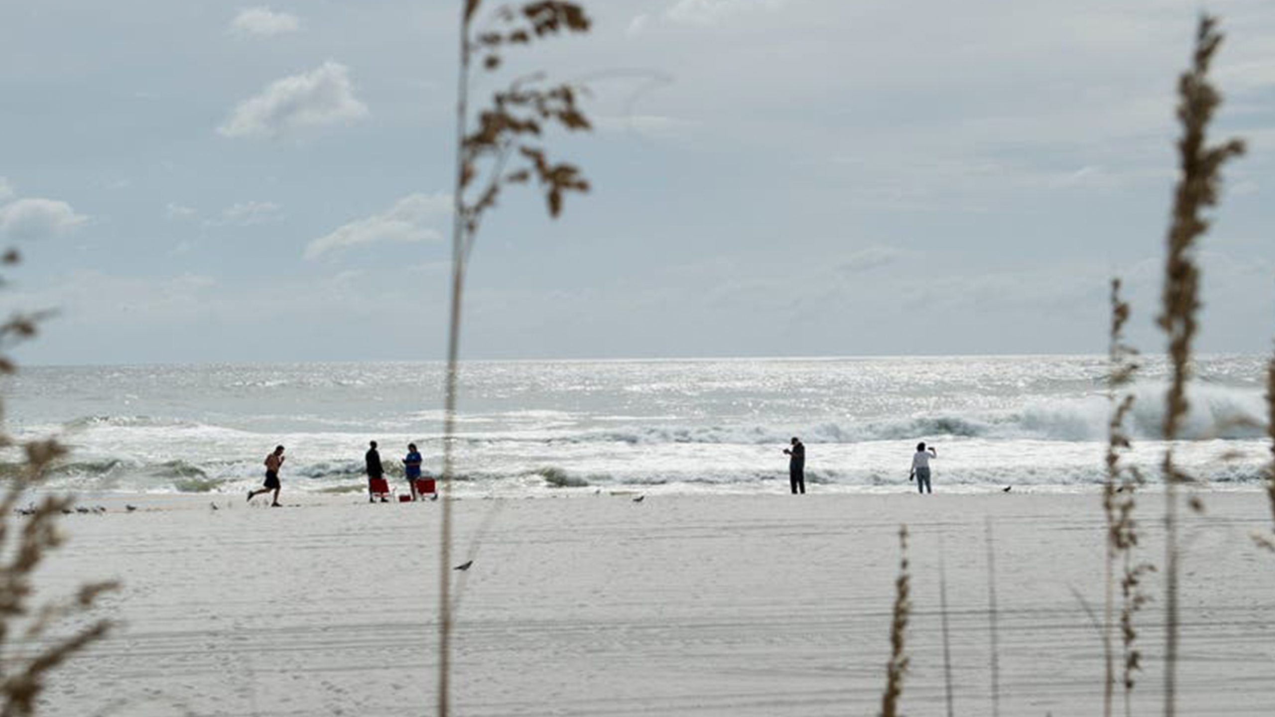 Father of 2 drowns after being caught in current trying to rescue seagull caught in fishing line — Fridley Community news