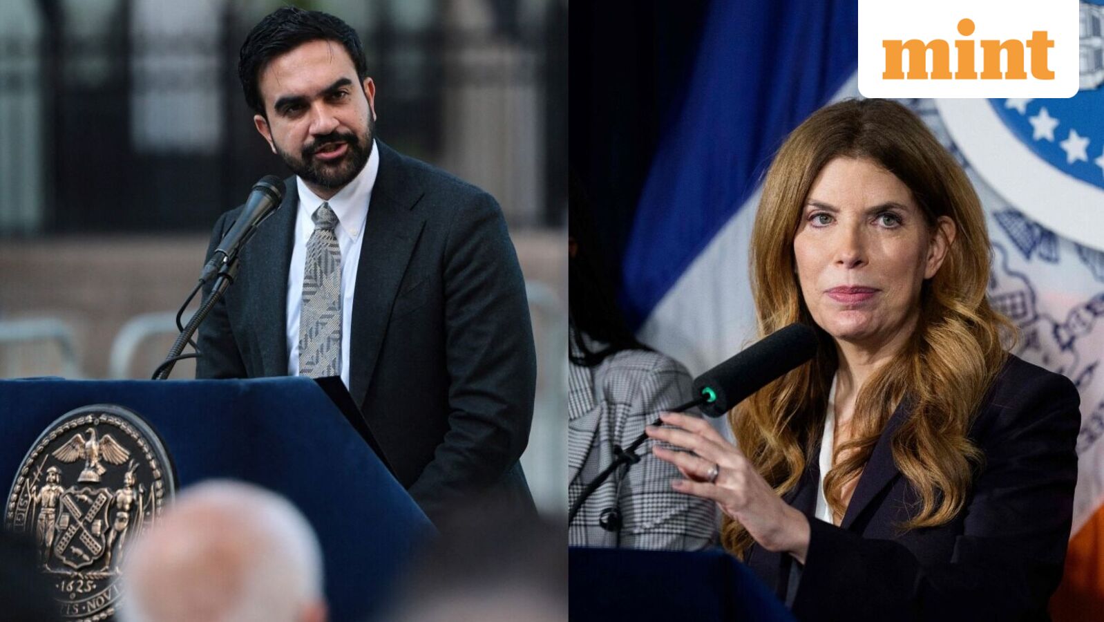 New York City's historic horse carriage rides to come to an end soon? All about Mayor Zohran Mamdani's latest move — Mint India, Fridley Government news